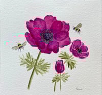 Image 6 of Bordeaux Anemone-original artwork