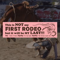 Image 3 of ~BUMPER STICKERS~