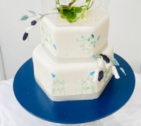 Image 4 of Pentagon/Hexagon with painted berries