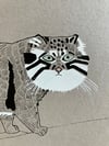 Pallas's Cat Print