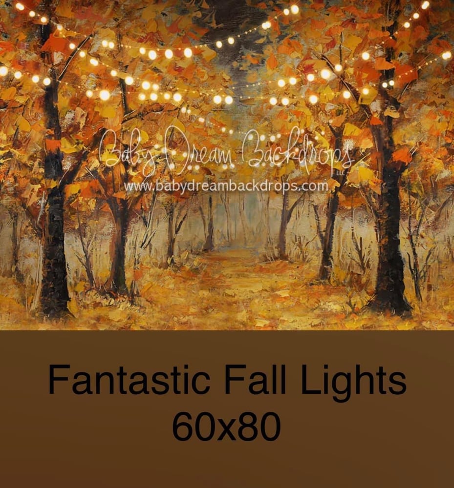 Image of Fall Lights