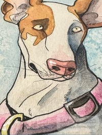 Image 2 of Ibizan Hound Watercolor Painting