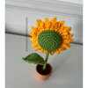 Mini Sunflowers