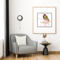 Image 1 of fiery throated hummingbird- Poster Print