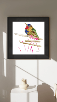 Image 5 of fiery throated hummingbird- Poster Print