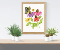 Image 3 of Yellow Swallowtail in the coneflowers- Poster Print