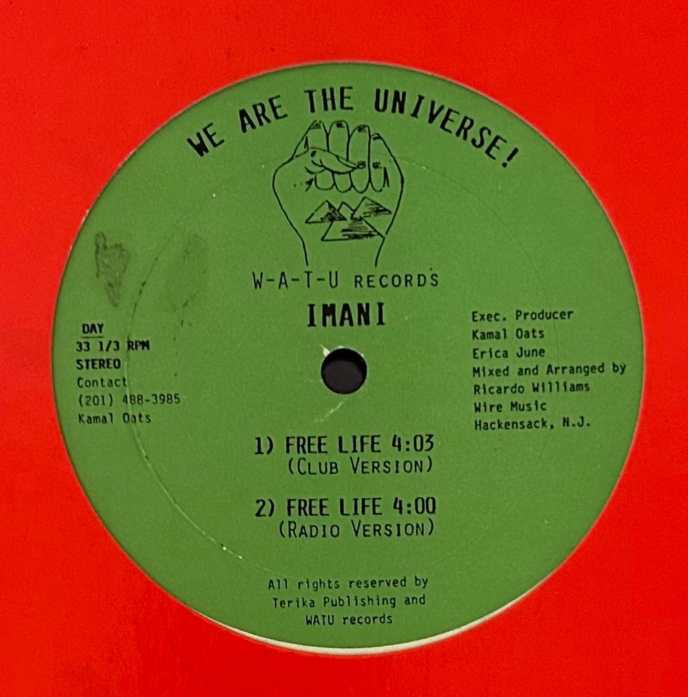 IMANI - DANGER ZONE (W.A.T.U RECORDS) 12"