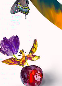 Image 3 of EL SURCO EN EL JARDÍN, 2023