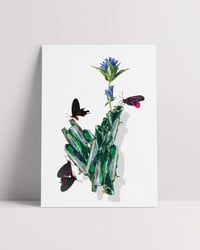 Image 2 of EL JARDÍN SECRETO, 2023