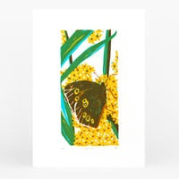 Image 1 of Ringlet screenprint