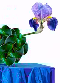 Image 1 of PAISAJE DESCONOCIDO, 2023