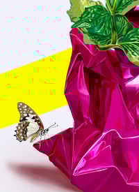 Image 3 of EL ECO EN EL TIEMPO, 2024