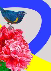 Image 2 of EL OJO QUE  LO REVELA, 2024