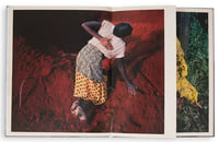 Image 6 of Flamboya - Viviane Sassen