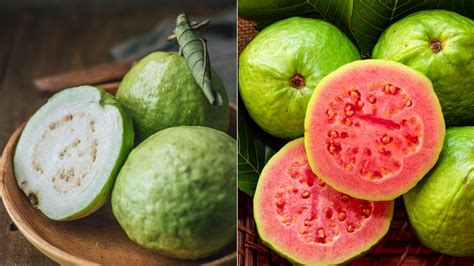 Sweet & Tart! Guava Berry Powder/Teabags/Leaves-Detoxer-Cramps-Blood Sugar-Cholesterol-Hormones