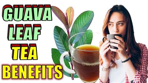 Sweet & Tart! Guava Berry Powder/Teabags/Leaves-Detoxer-Cramps-Blood Sugar-Cholesterol-Hormones