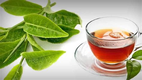 Sweet & Tart! Guava Berry Powder/Teabags/Leaves-Detoxer-Cramps-Blood Sugar-Cholesterol-Hormones