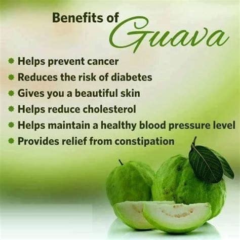 Sweet & Tart! Guava Berry Powder/Teabags/Leaves-Detoxer-Cramps-Blood Sugar-Cholesterol-Hormones