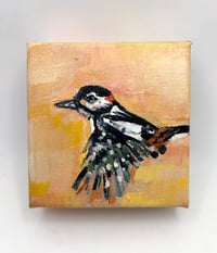 Image 2 of Tree Spotting – Great Spotted Woodpecker small painting