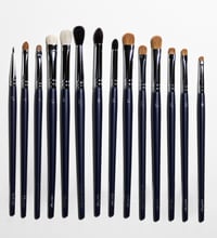 ProComplete eye brush set - 15 brushes