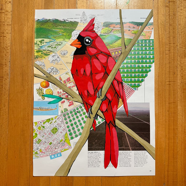 Image of Cardinal / unframed original painting