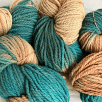 Image 4 of Blue Orchid