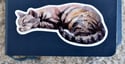 Sleeping Cat Watercolor Sticker