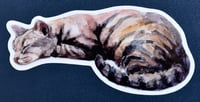 Image 1 of Sleeping Cat Watercolor Sticker