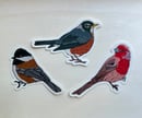 Image 1 of Birds Sticker Set