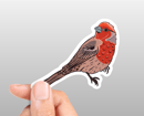 Image 4 of Birds Sticker Set