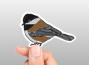 Image 5 of Birds Sticker Set