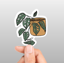 Image 5 of House Plant Sticker Set