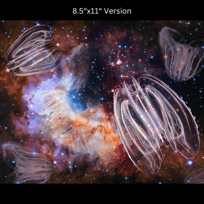 Ctenophores in Space [Mnemiopsis leidyi] | Art Prints & Stickers