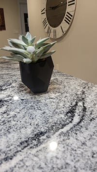Image 2 of Mini Succulent Wall Planter