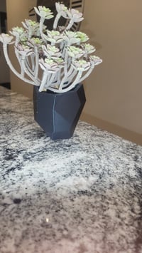 Image 3 of Mini Succulent Wall Planter