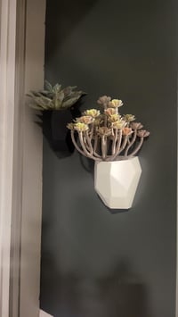 Image 1 of Mini Succulent Wall Planter