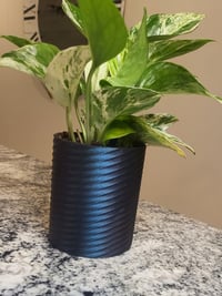 Image 1 of Spiral Succulent Wall Planter