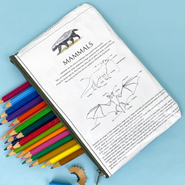 Image of Mammals: Bats, Book Page Pencil Case