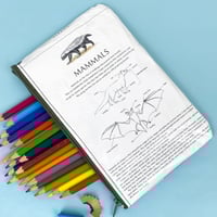 Image 1 of Mammals: Bats, Book Page Pencil Case