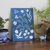 Image 1 of Adansonii cyanotype