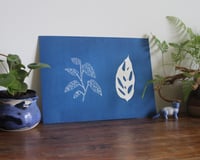 Image 1 of Monstera Adansonii Duo Cyanotype