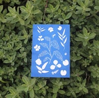 Image 2 of Adansonii cyanotype