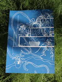 Image 2 of "Elevated Shelves" cyanotype