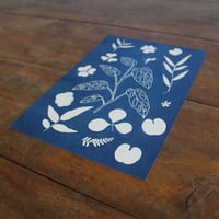 Image 3 of Adansonii cyanotype