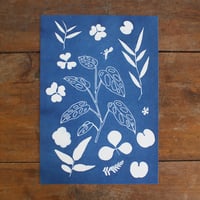 Image 4 of Adansonii cyanotype