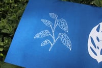 Image 4 of Monstera Adansonii Duo Cyanotype