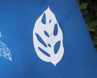 Image 5 of Monstera Adansonii Duo Cyanotype