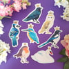 Royal Birds - Matte Vinyl Stickers