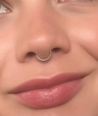Image 1 of Septum Ring Clicker - Hinged Segment Ring - Surgical Steel - Gold Silver - Hypoallergenic