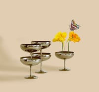 ALGO QUE CELEBRAR, 2024